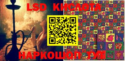 дживик Гай