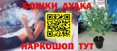 jwh Гатчина