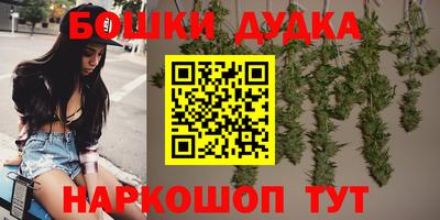 дживик Гай