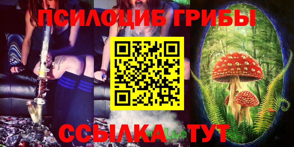Шелехов  Псилоцибиновые грибы MAGIC MUSHROOMS  Псилоцибиновые грибы MAGIC MUSHROOMS  Вход с VPN 